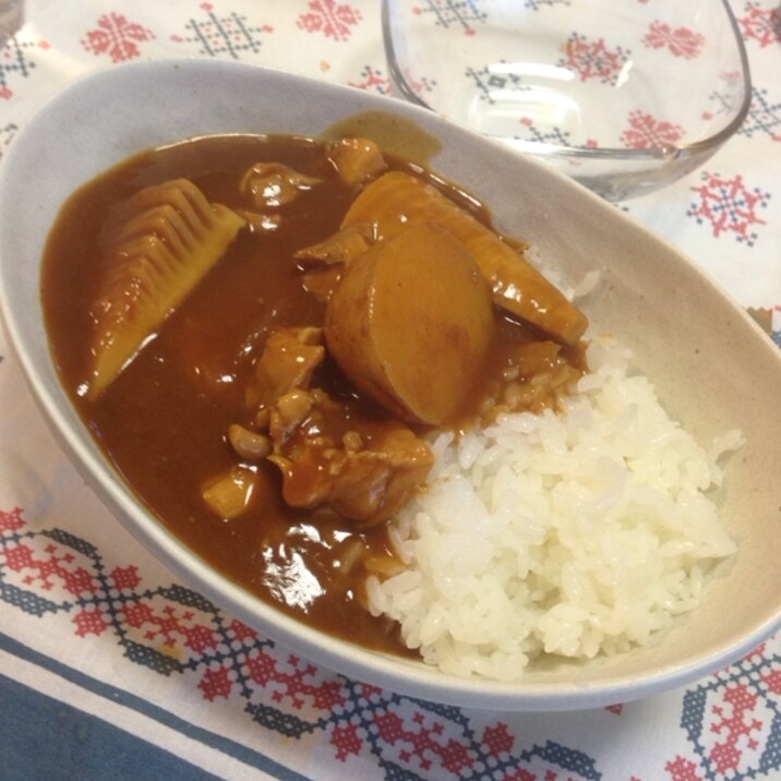 筍入りチキンカレー:511